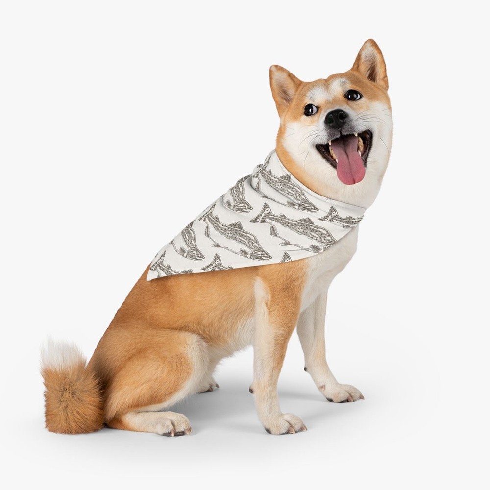 Pet Bandana -Salmon Cream