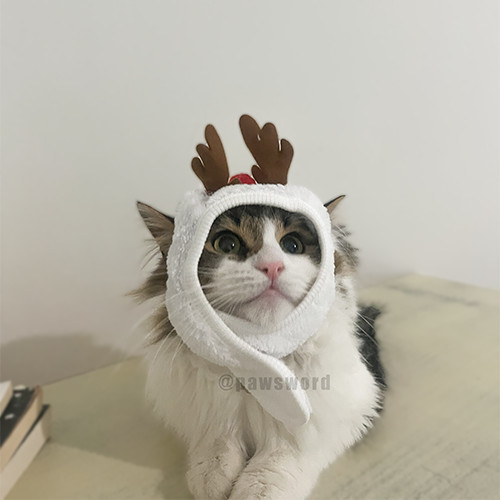 Cat Christmas Hat