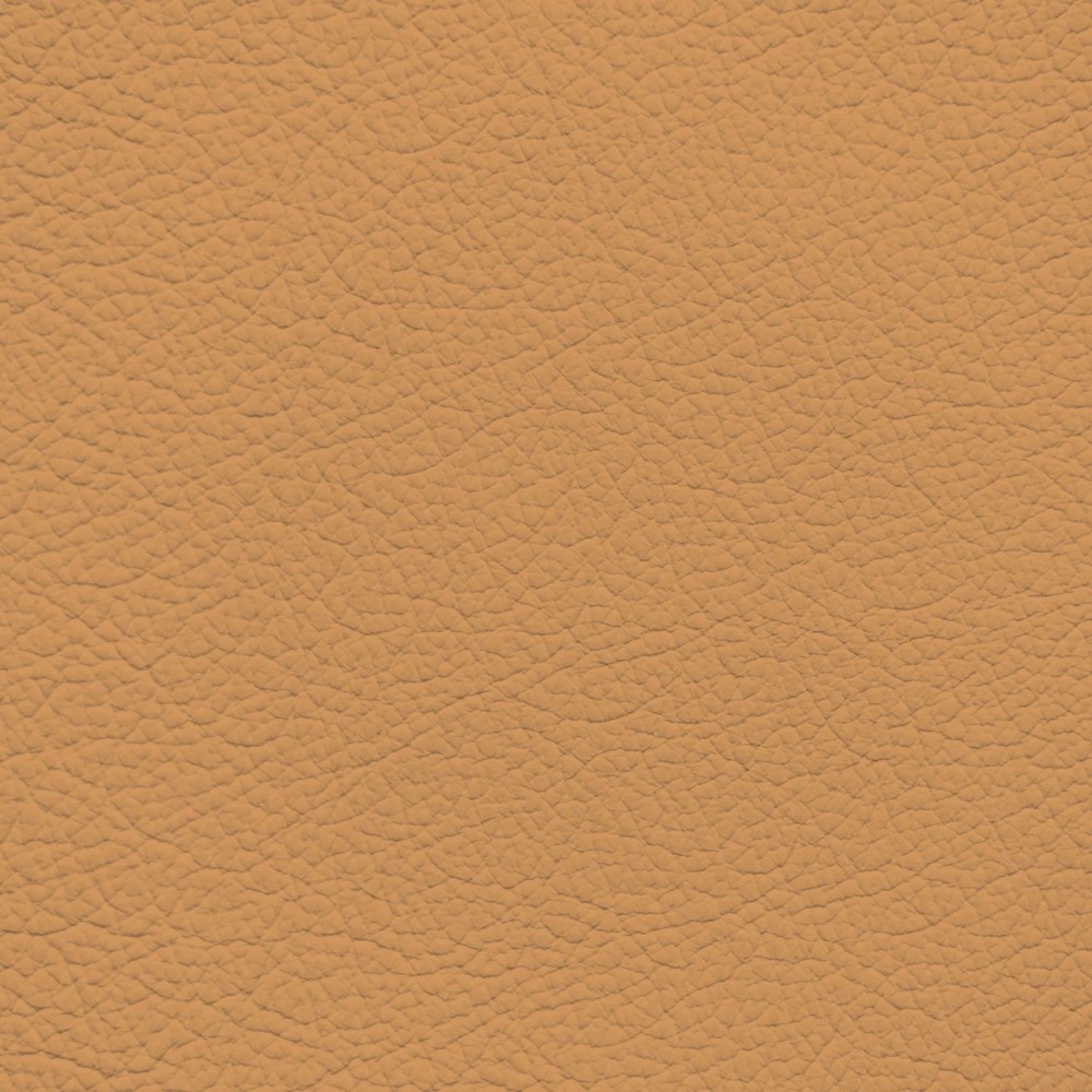 Jaguar Biscuit Leather Dye