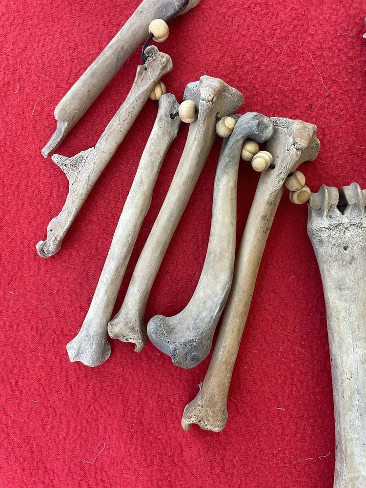 Extraordinary Old Aztec Xoloitzuintle Bone Shaman’s Necklace