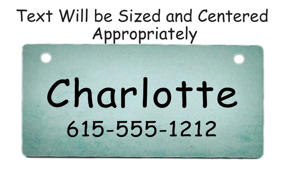 Teal Personalized 5" x 2.5" Dog Crate Tag