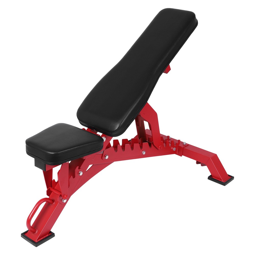 Workout Bench Adjustable Strength Training Bench Exercise Bench for Home Gym