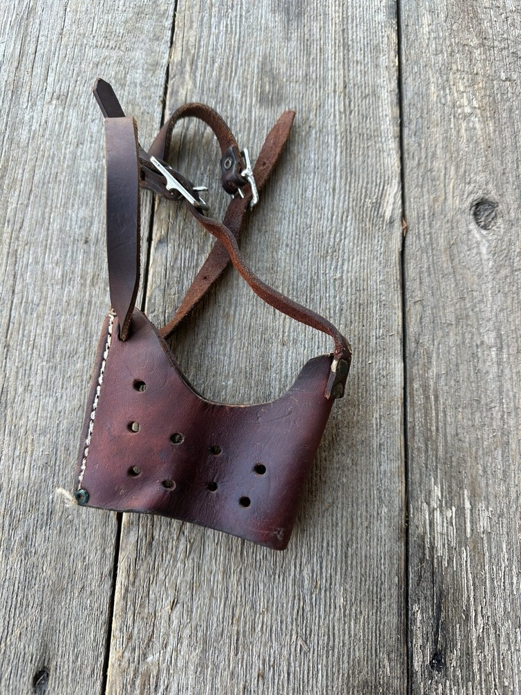 Leather Dog Muzzle