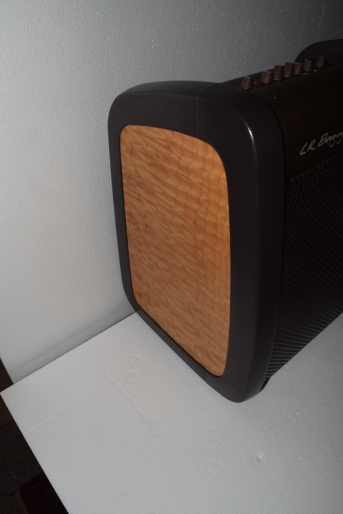LR Baggs Acoustic Reference Amplifier - Limited Edition - China