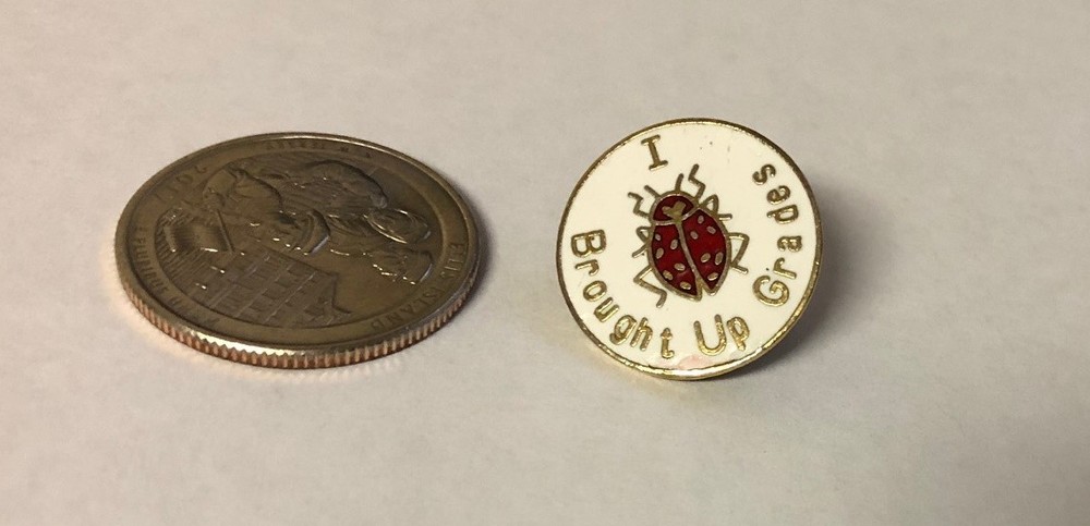 I Brought Up Grades Pin