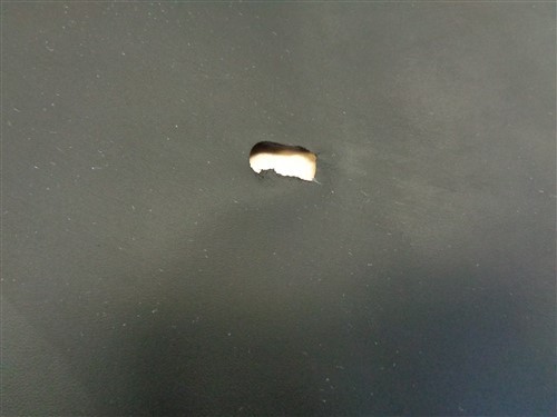 LEATHER HIDE BLACK 67 1/4" X 39 1/4"