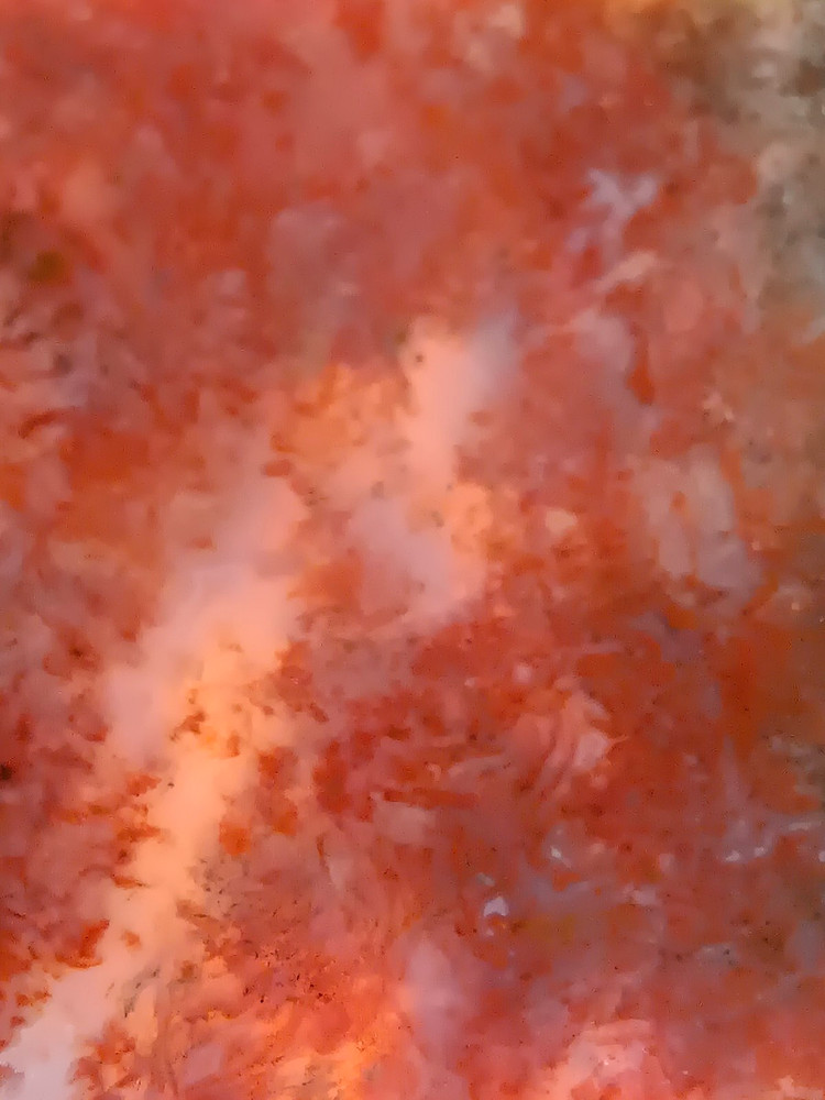 Maury Mountain Moss Agate Slab - Oregon