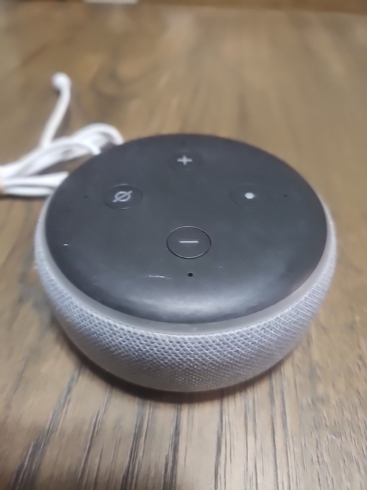 Amazon Echo Dot 3rd Gen Smart Speaker - Heather Gray (D9N29T)