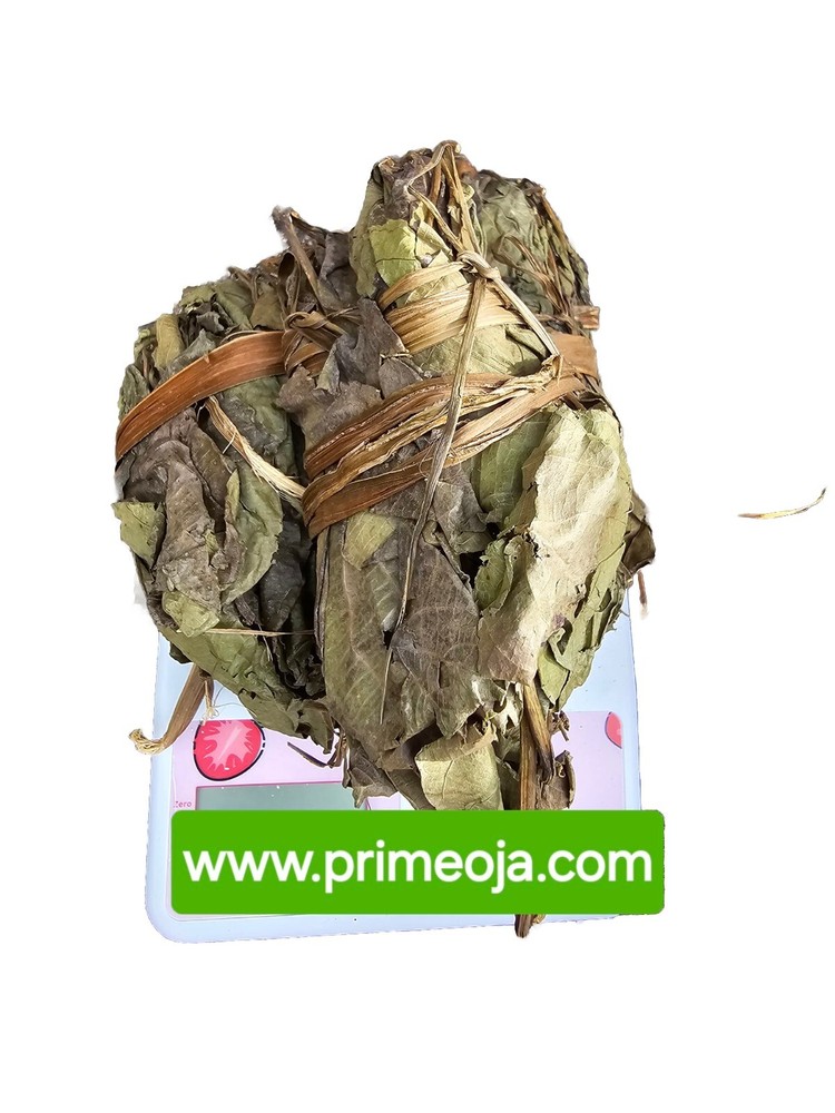 2X EWE ANU/ MERCY LEAF SPIRITUAL LEAF