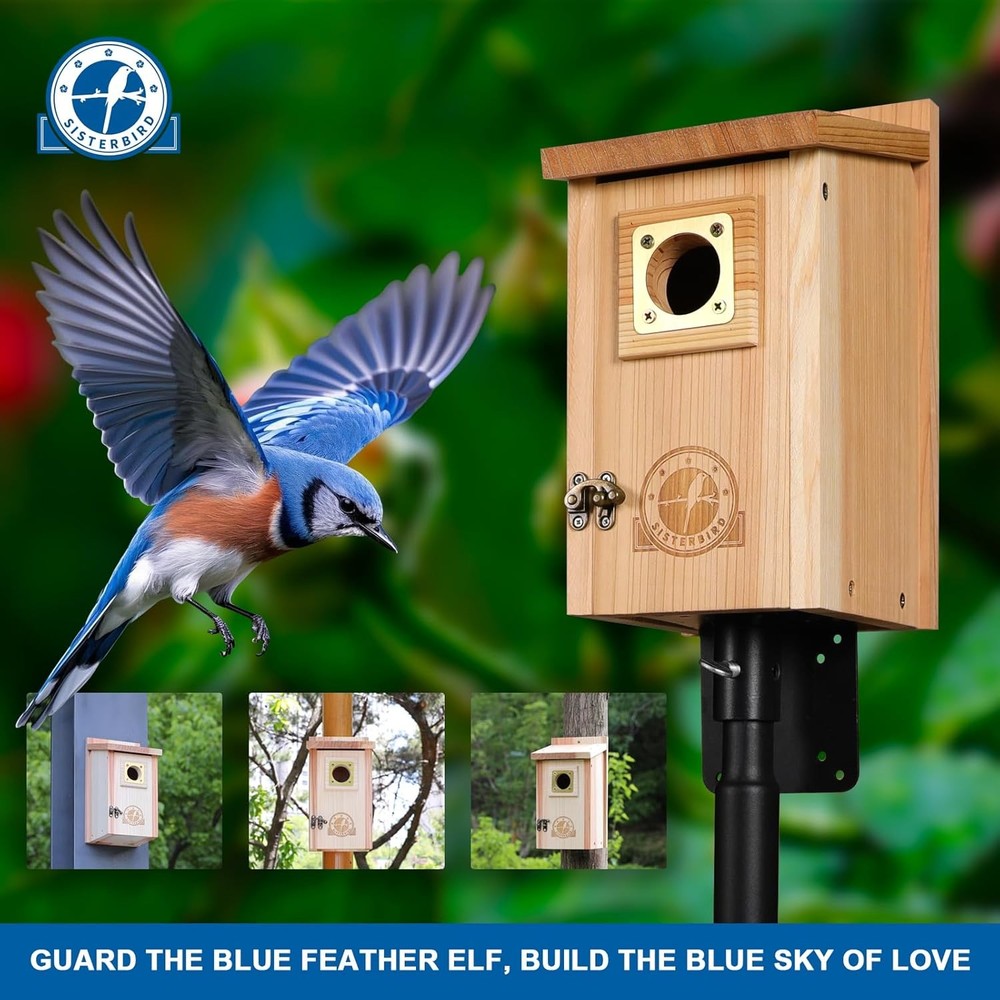 2 Pack Bird Houses Assembly Required