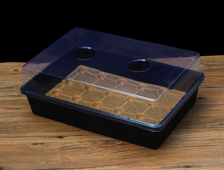 Propagator with Dome