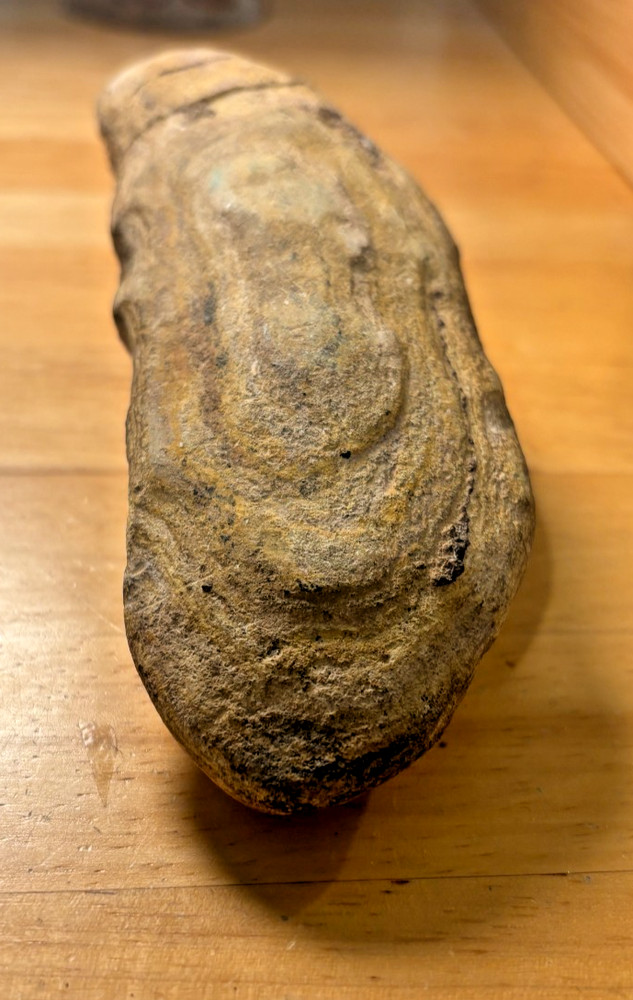 Exceptional Brazilian Fossilized Fish 6 inches long split node