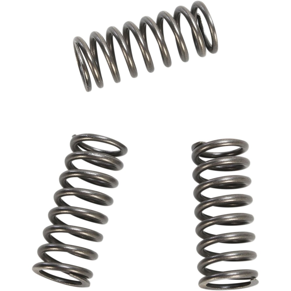 EBC Brakes Clutch Springs CSK218