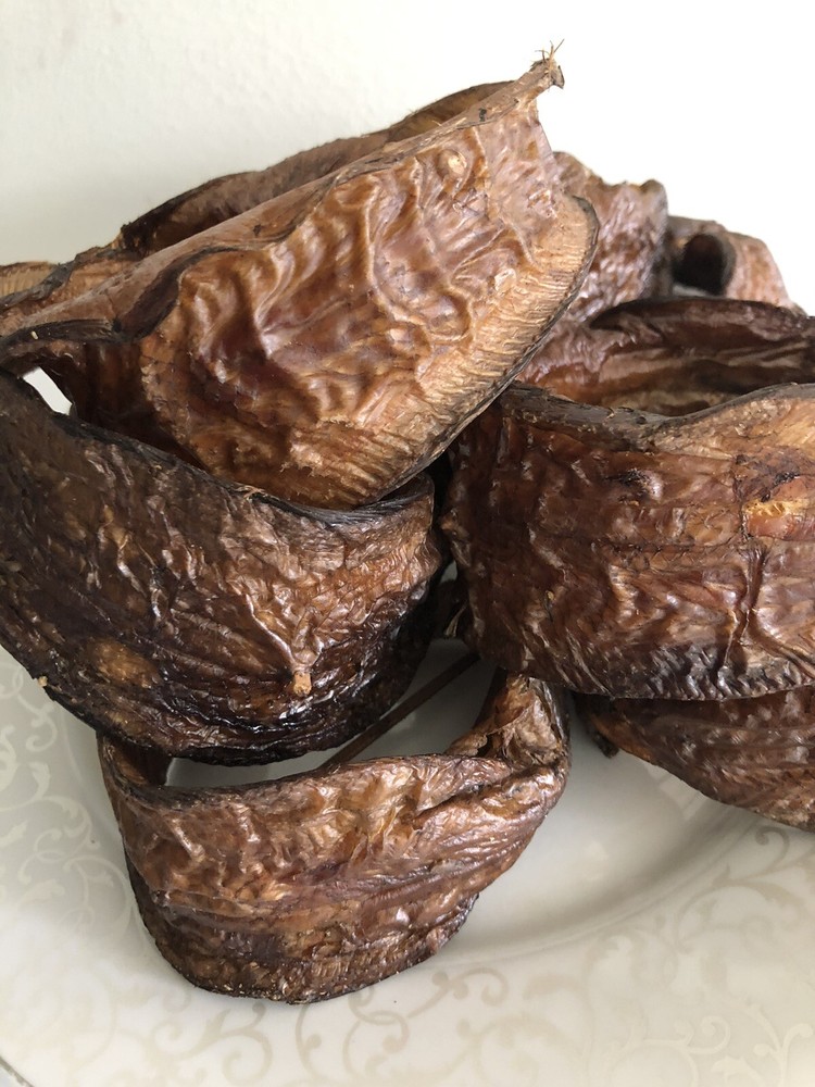 Eja Abo/sole Fish/Dry Fish 4 Big Pieces