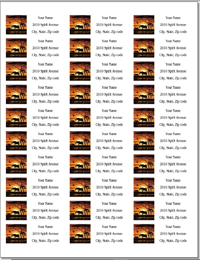 150 African Sunset Elephant Mailing Return Address Labels Personalized