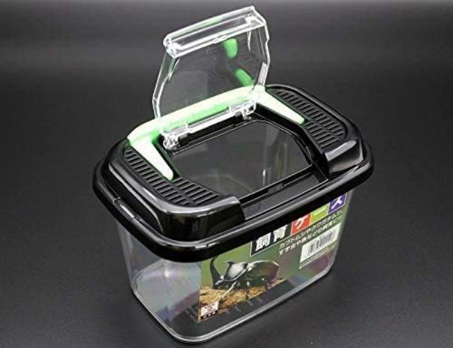 Compact 7'' Terrarium for Bugs and Fish - High Transparency for Easy Observation