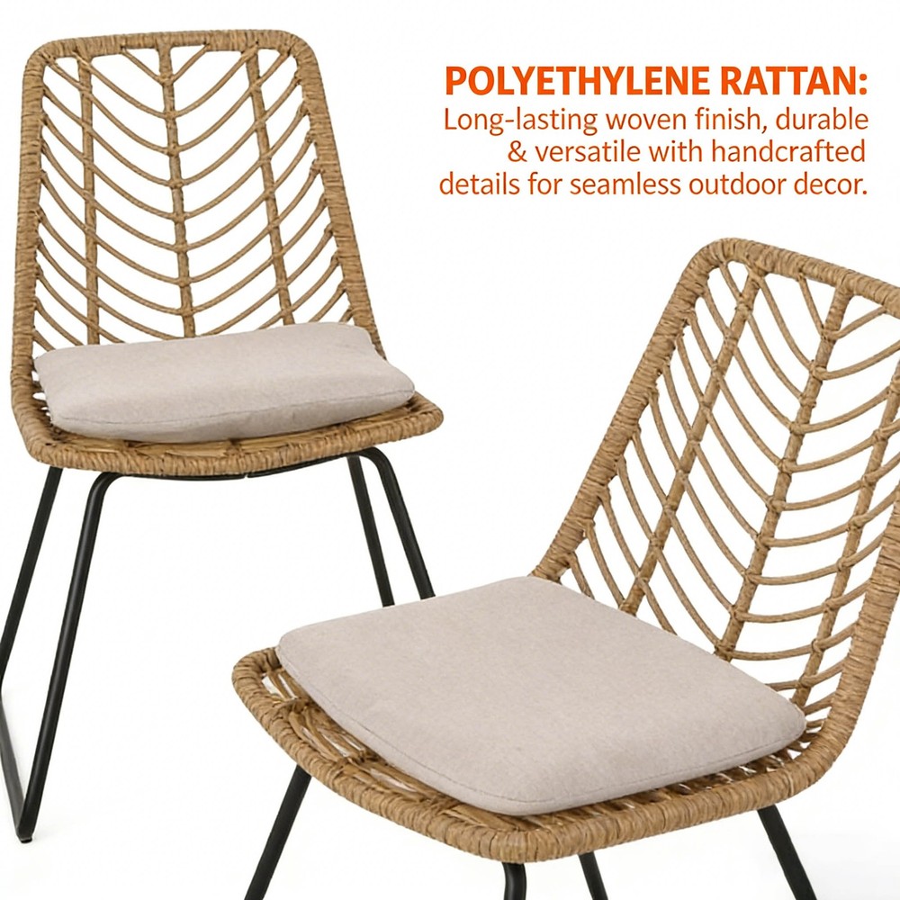 Deja Chair 2pcs W 2 Cushions