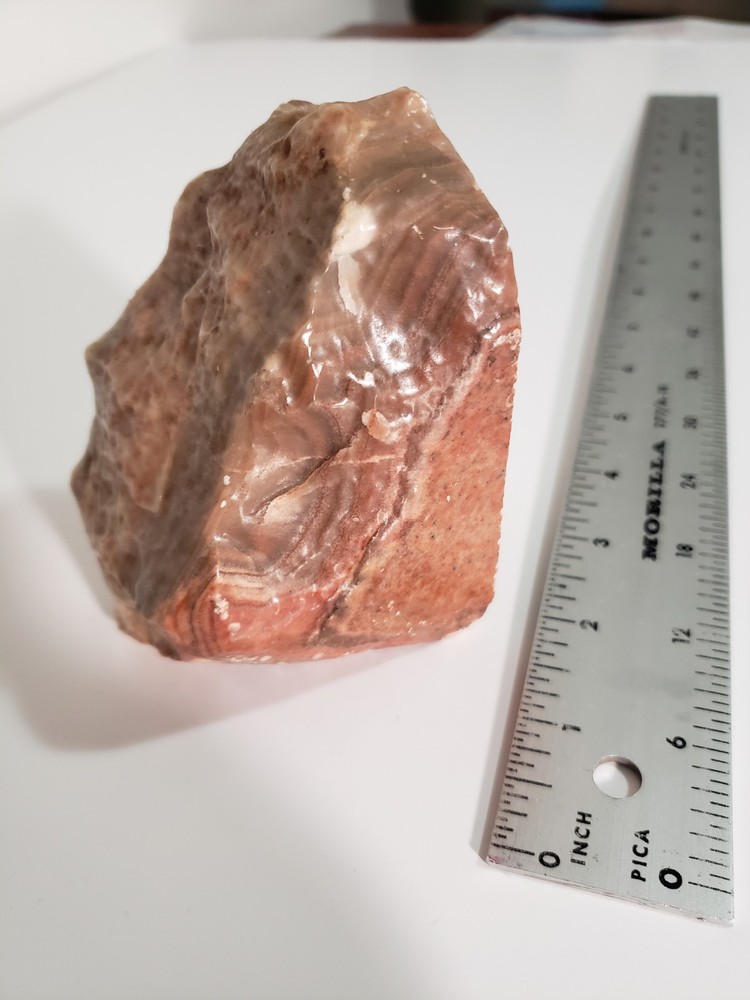 Agatized Petrified Wood 5"