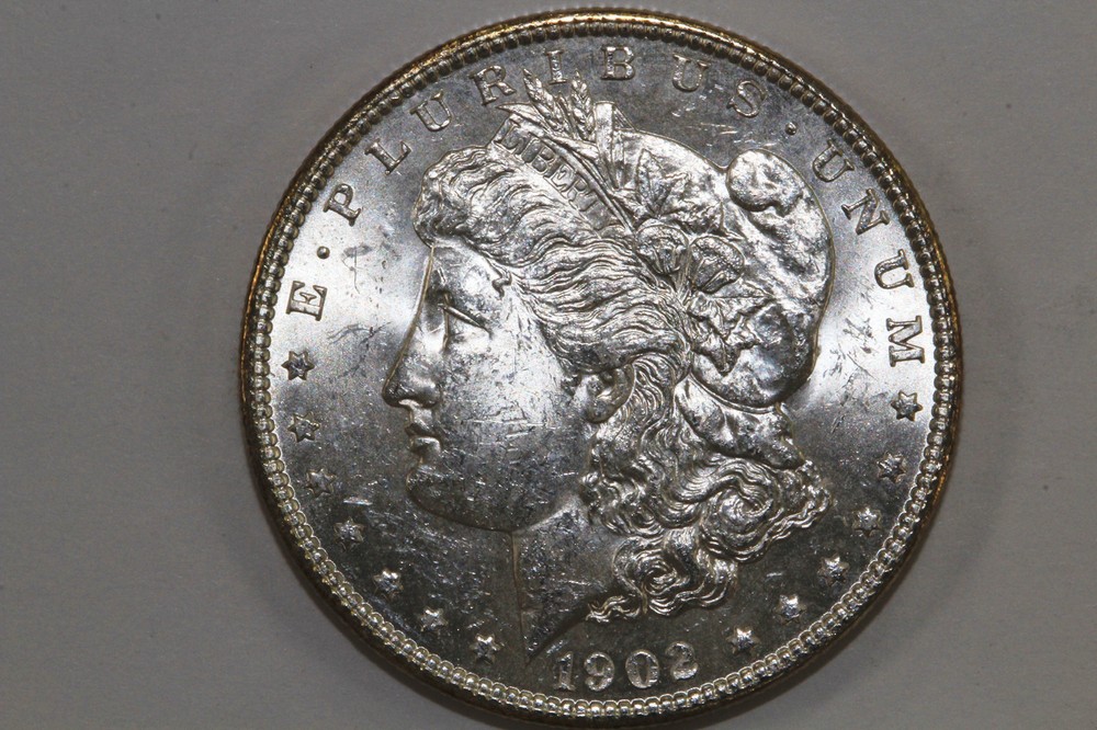 1902-0 Morgan 90% Silver Dollar Blast White MS (MDX5025)
