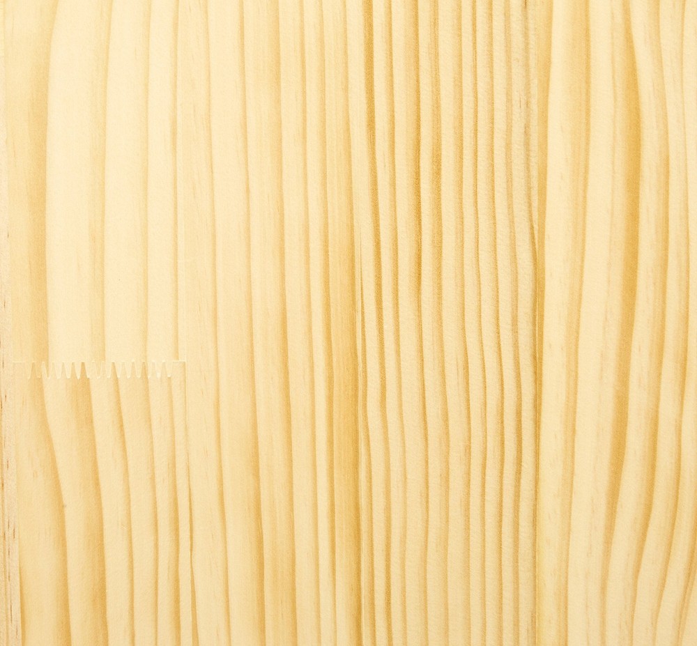 Amazon Basics 8-Compartment Storage Cabinet, Backpack Organizer, 13"D x 48"W x 3