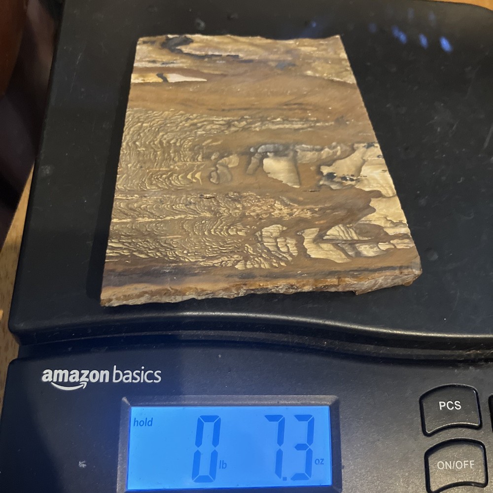 Biggs Jasper Slab (Oregon)