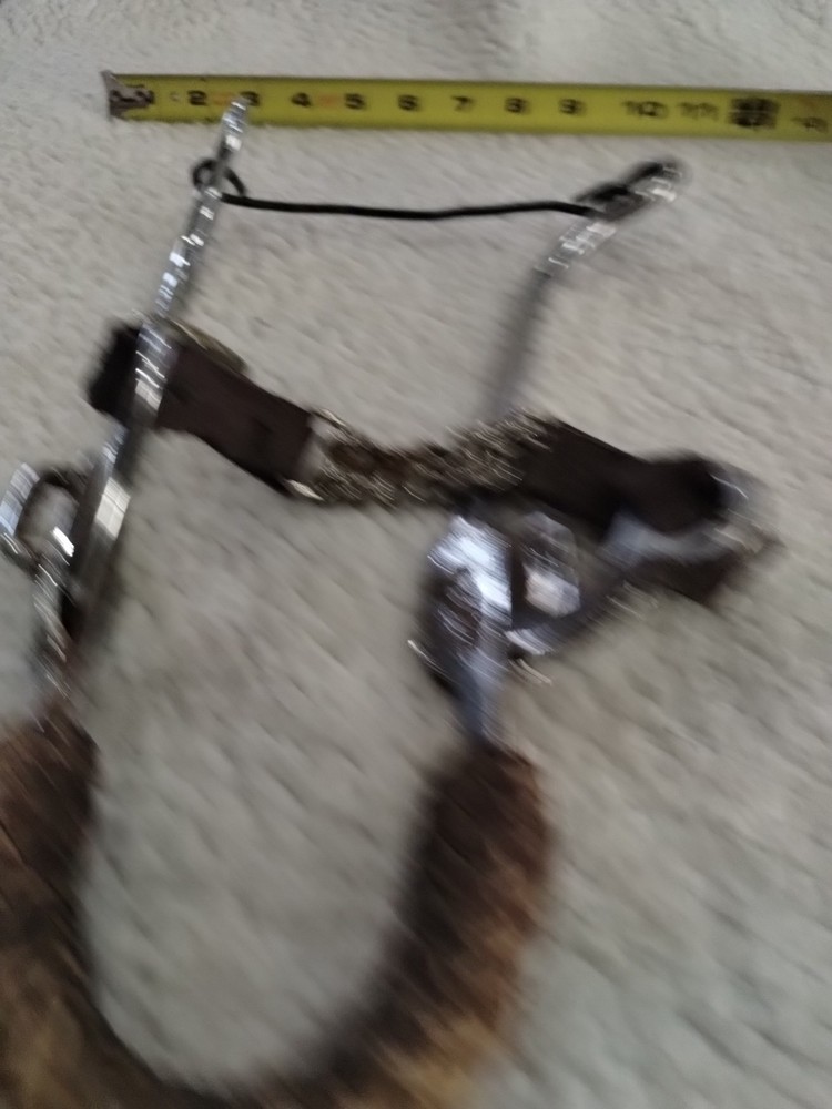 Unlabeled Hackamore Bit