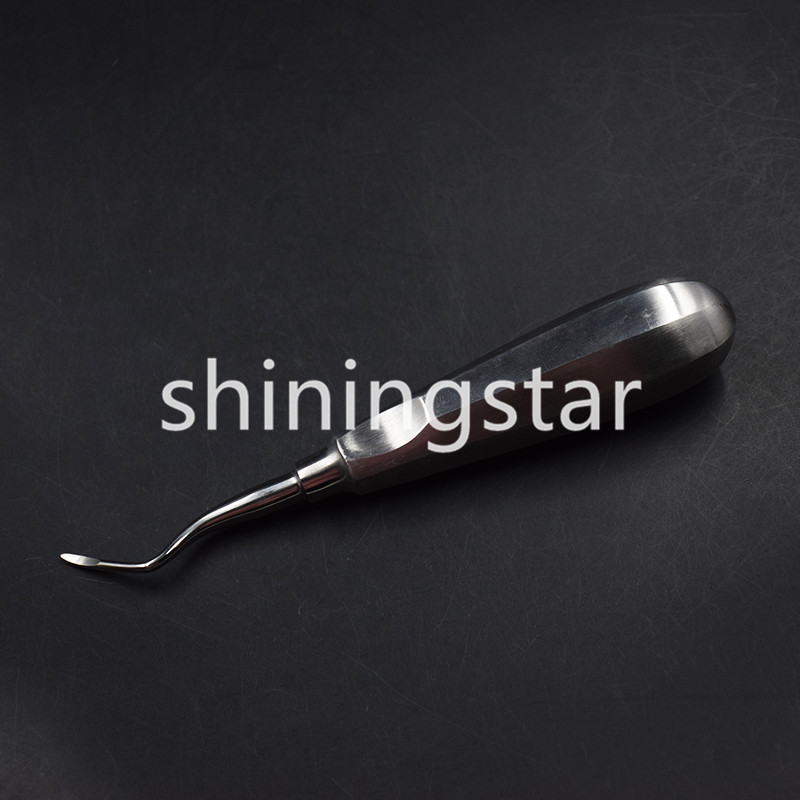 6 Pcs Dental Apical/Apex Elevator Extraction Root Elevator Left/Right/Straight