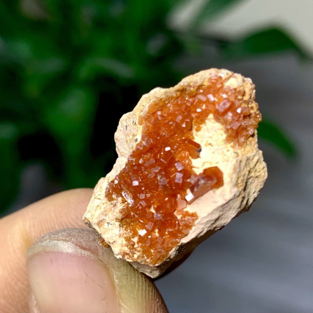 8GNatural Beautiful Vanadinite Atone Cluster Quartz Mineral SamplefromMorocco