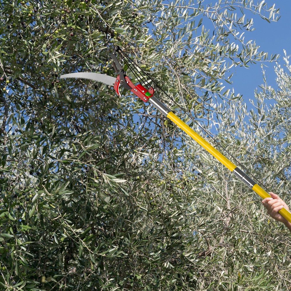 30ft Manual Pole Saw, Lightweight Tree Trimmers Long Handle Pruner Set
