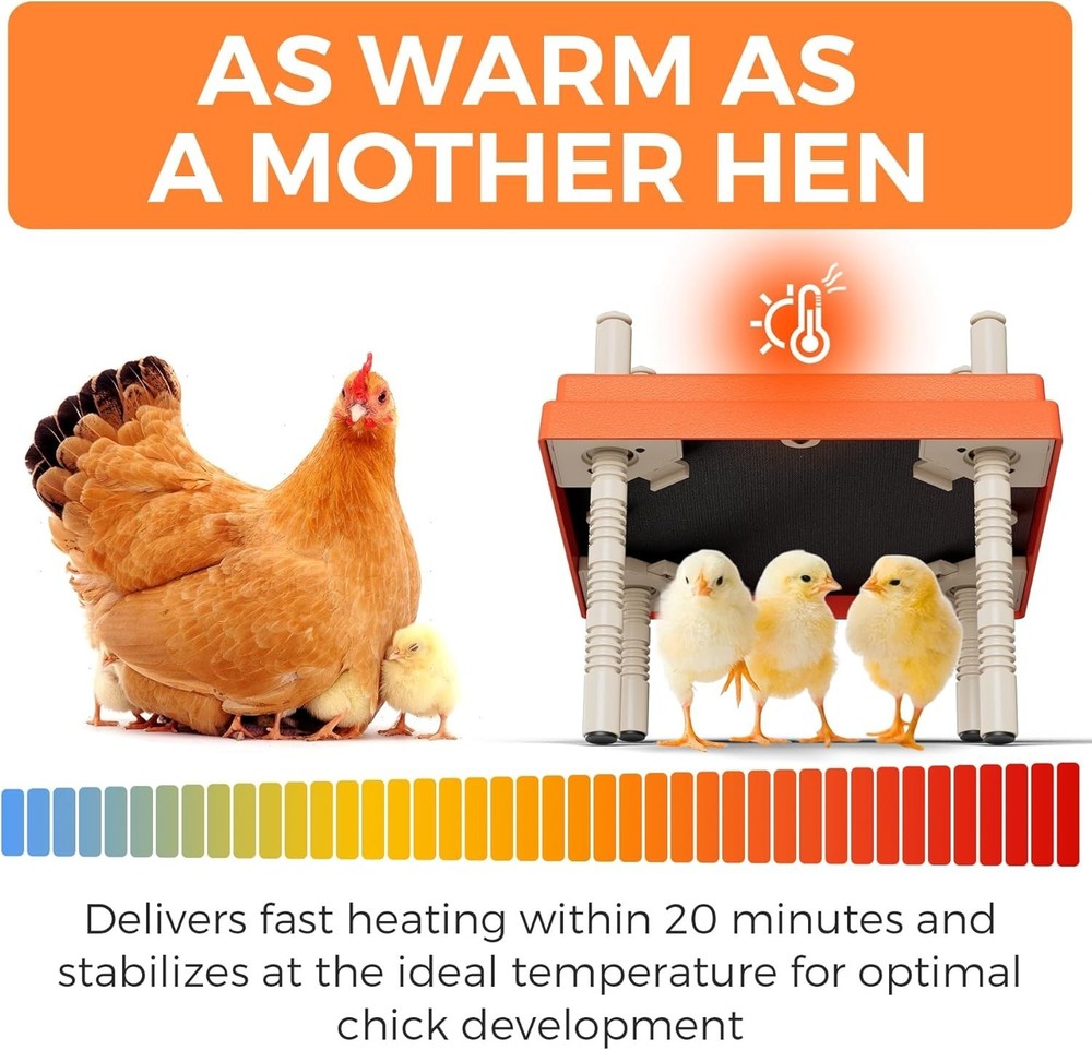 Chick Brooder Heating Plate with anti Stand Cone 10 X 10 Brooder Heater for Chic