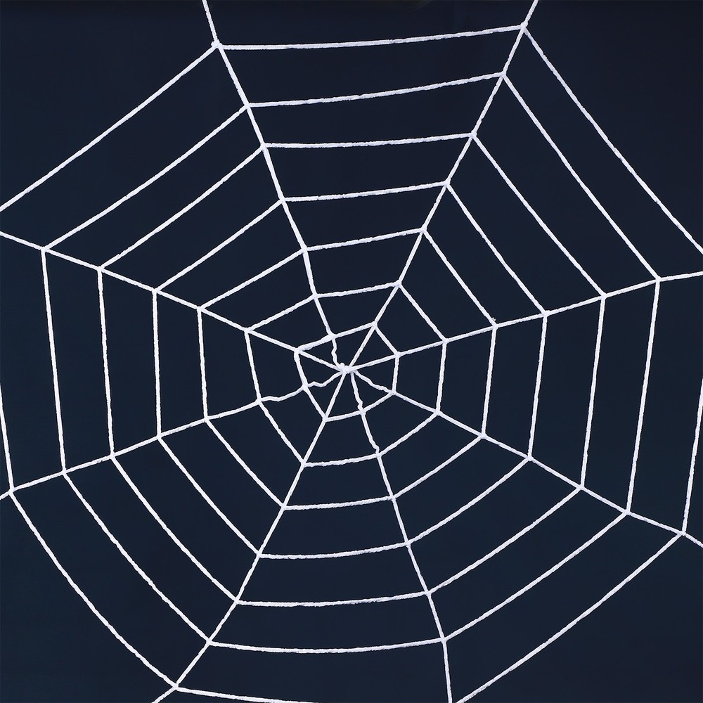 2-Pack Spider Web Decoration, 2.5m White Round Net Cobweb for Halloween Decor