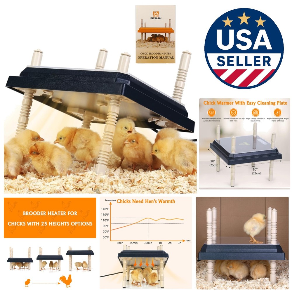 Durable Chick Brooder Heater 10" x 10" with Adjustable Heights for Cozy Warmth