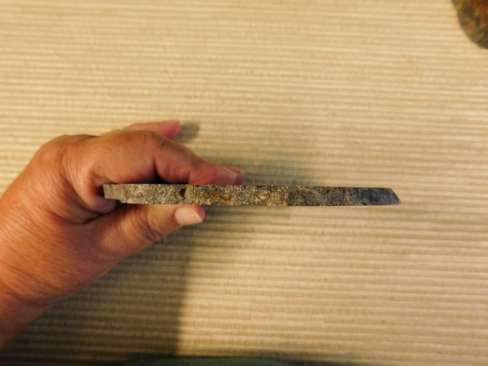Fossil Cycad Slabs for Cabs - qty 2