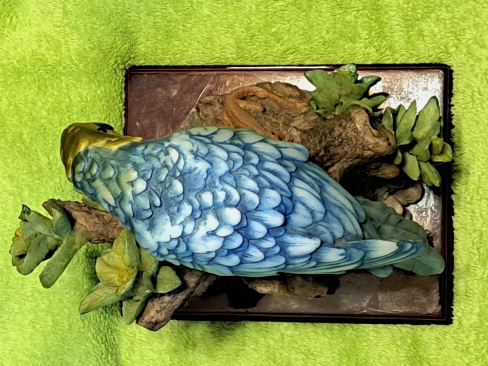 LEONARDO " THE MACAW PARROT " w/ Lizard BLACK/BLUE/ WHITE/YELLOW