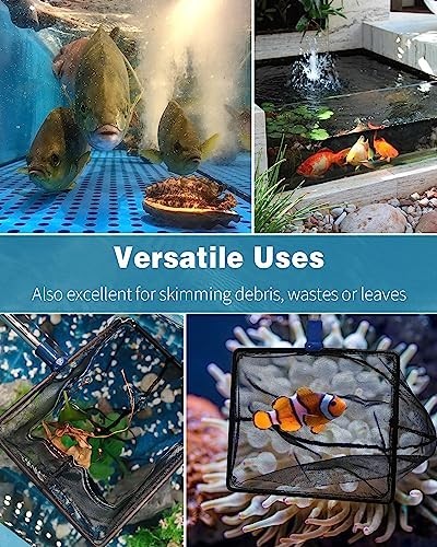 Extendable Fish Net 9-24" Handle for Betta Tanks, Koi Ponds & Pools - Durable &