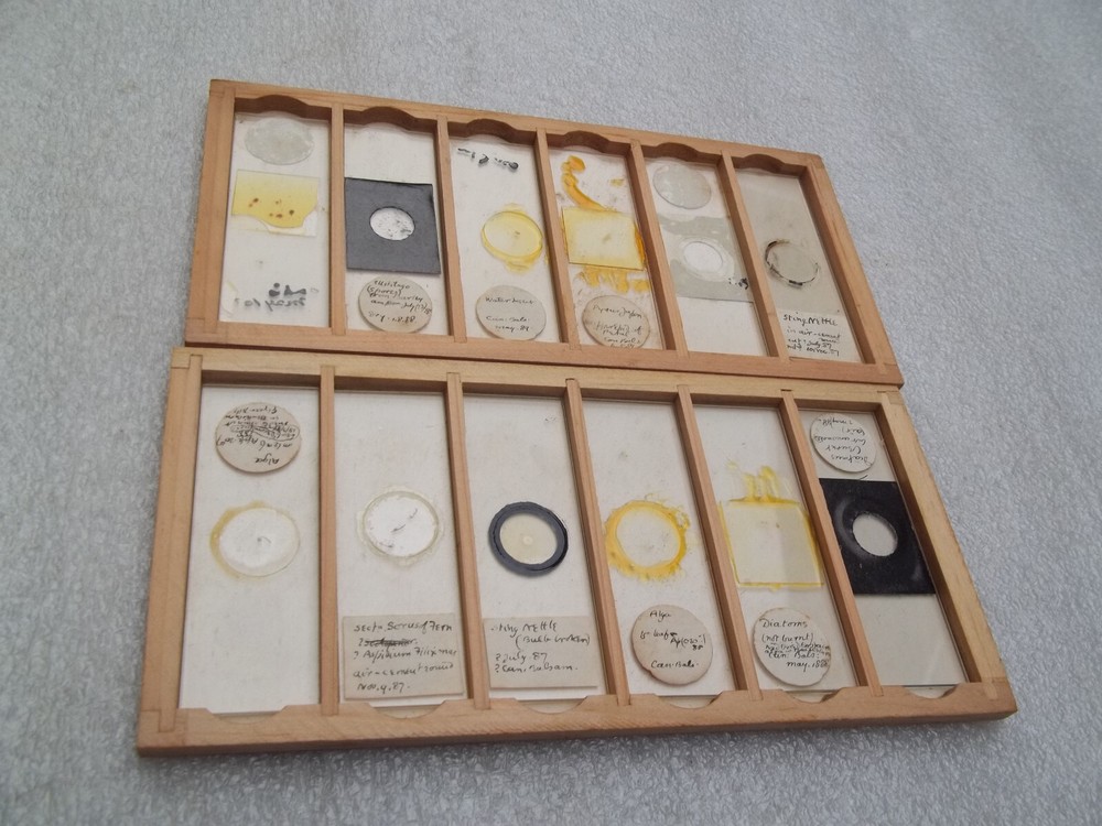 Antique Glass Microscope Slides