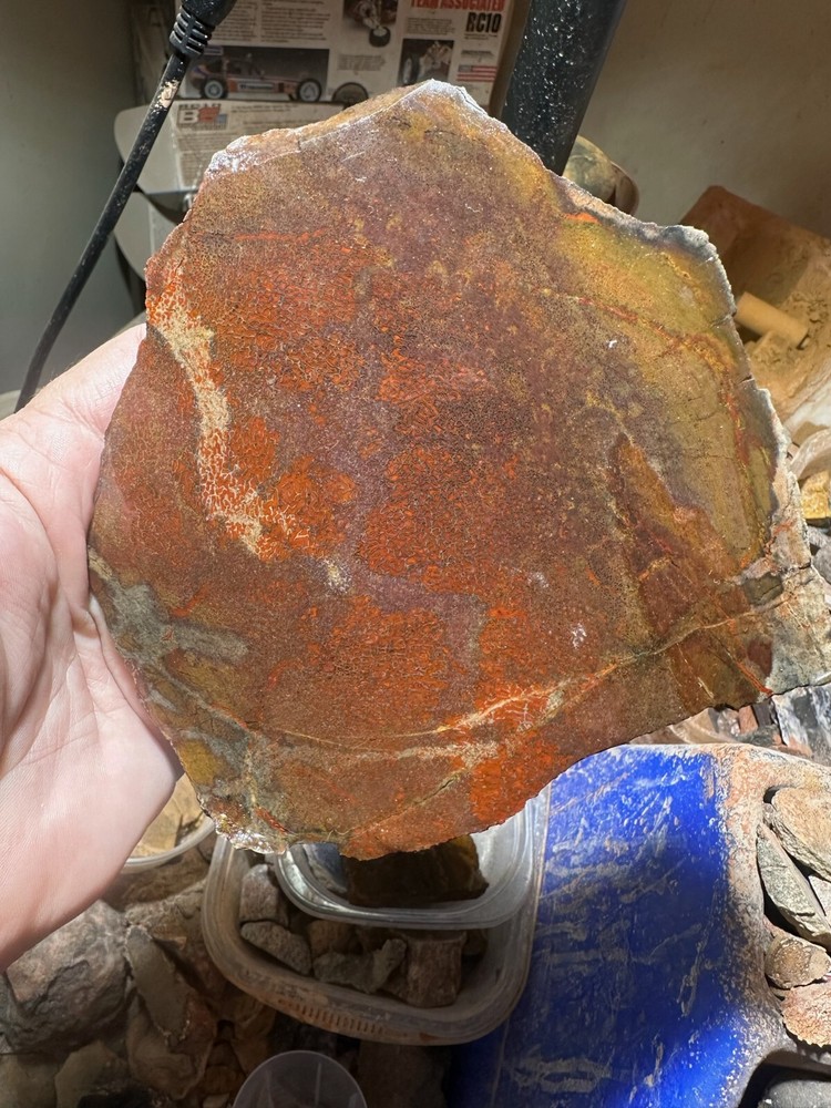Dinosaur bone rough **hxtled large slab.