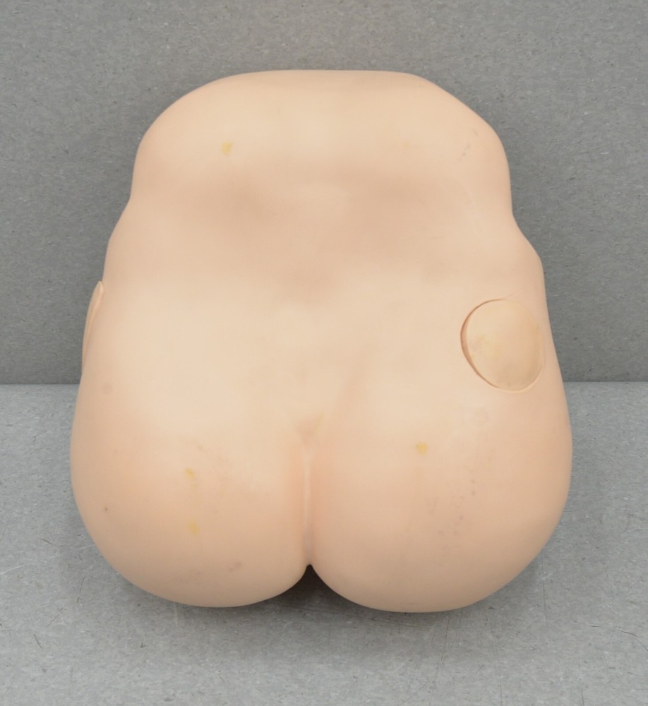 Laerdal In-Service Home Care Training Simulator 375-20001