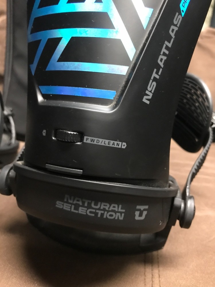 union house natural selection bindings