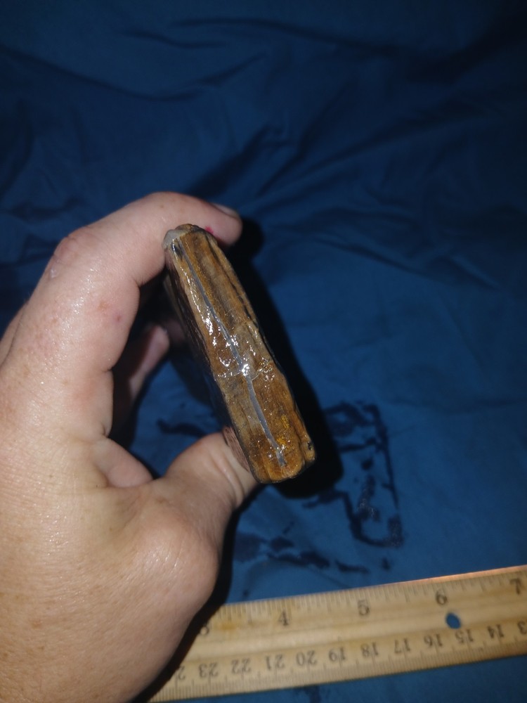 10 oz Petrified Wood