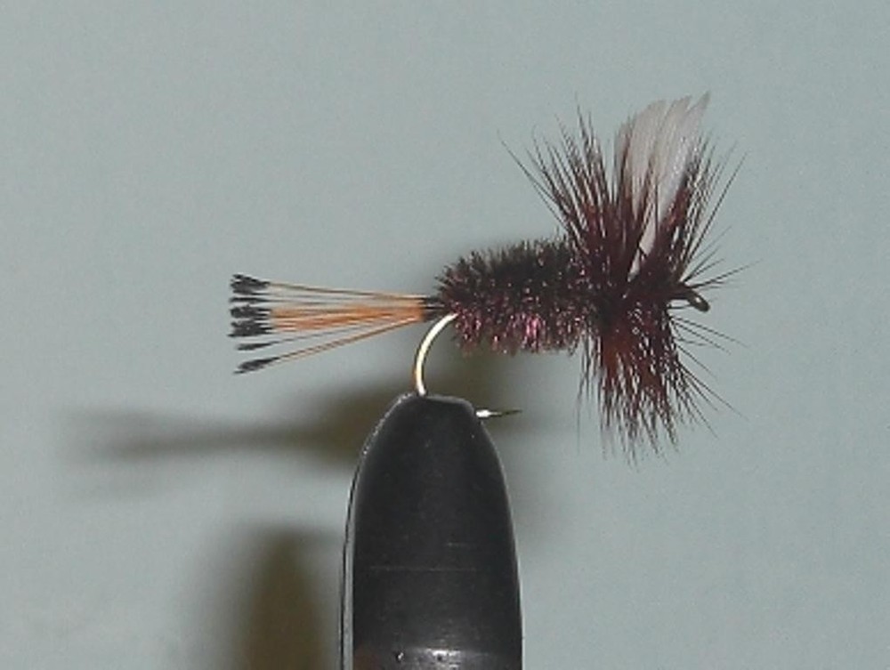 C/A FLIES  COACHMAN #10 (12)