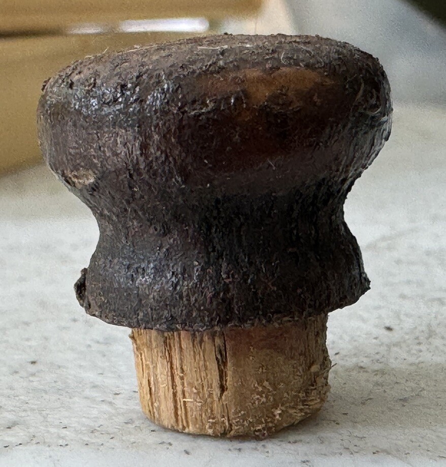 Antique 1894 Singer Treadle Sewing Machine Cabinet OAK DRAWER PULL (s) 3/4”