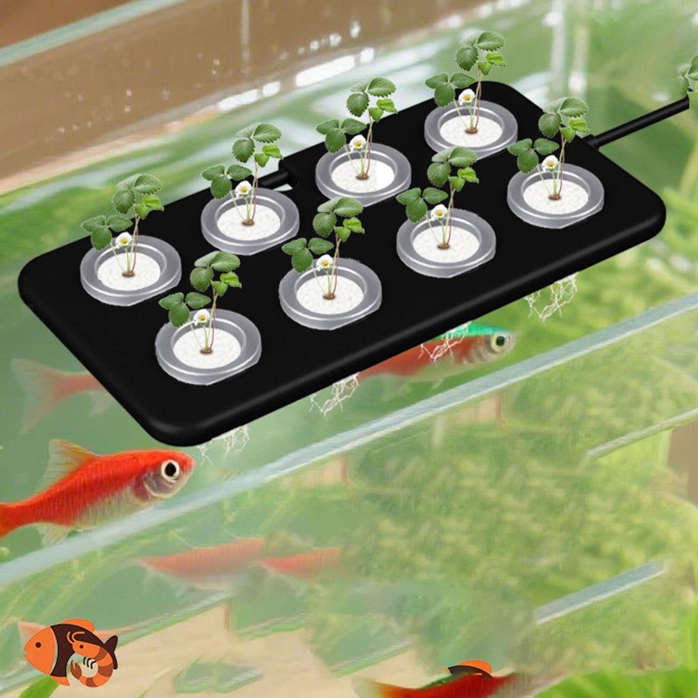 Fish Tank Hydroponic Floating Planter Kit with Suction Cup Simple Assembly for