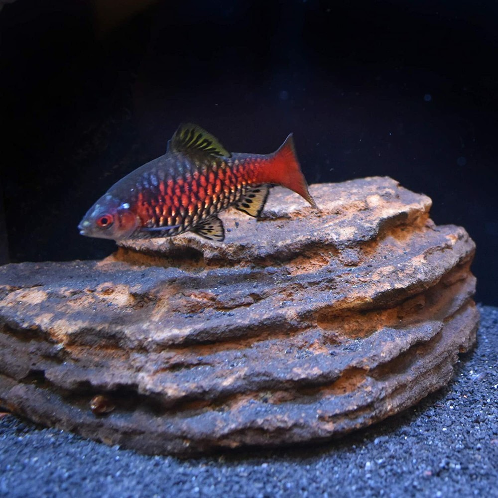 Seachem Neutral Regulator 2.2 Lb.