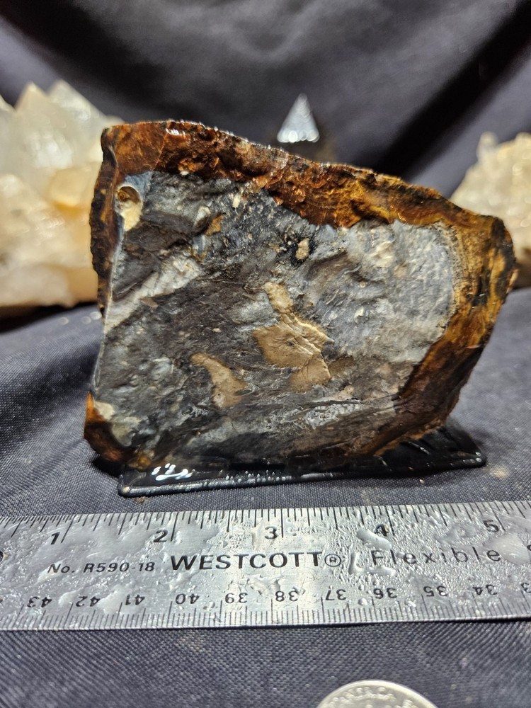 Biggs Jasper Multi Colored w/ Dendric Specimen Natural Form (14oz)