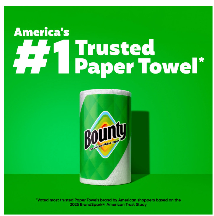 Select-A-Size Printed Paper Towels, 2 Triple Rolls, 123 Sheets