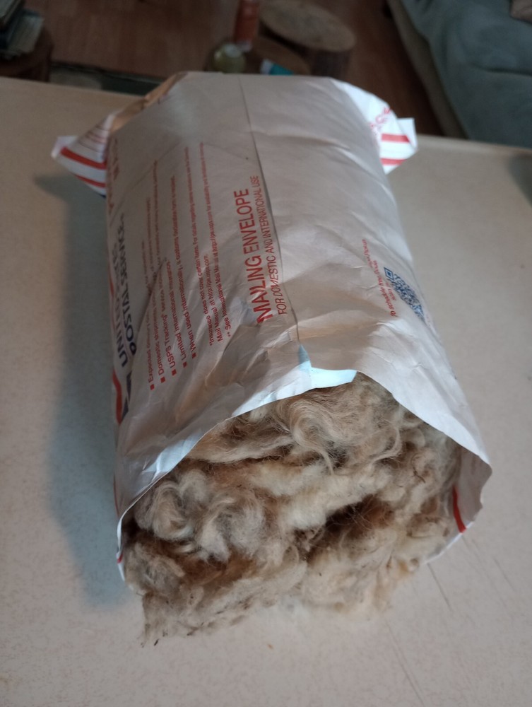 1 Pound Unwashed Sheep Wool