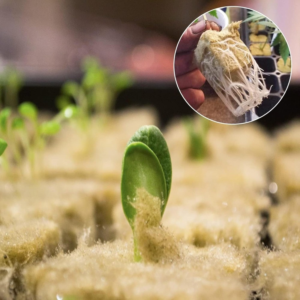 Effective Rockwool Cubes for Hydroponics - 100 Pieces for Optimal Growth
