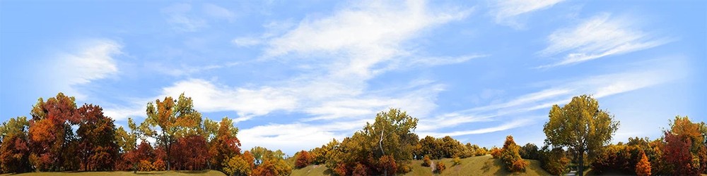 Model Railroad Train Backdrops - Treeline On Burm Left In Autumn Continuous