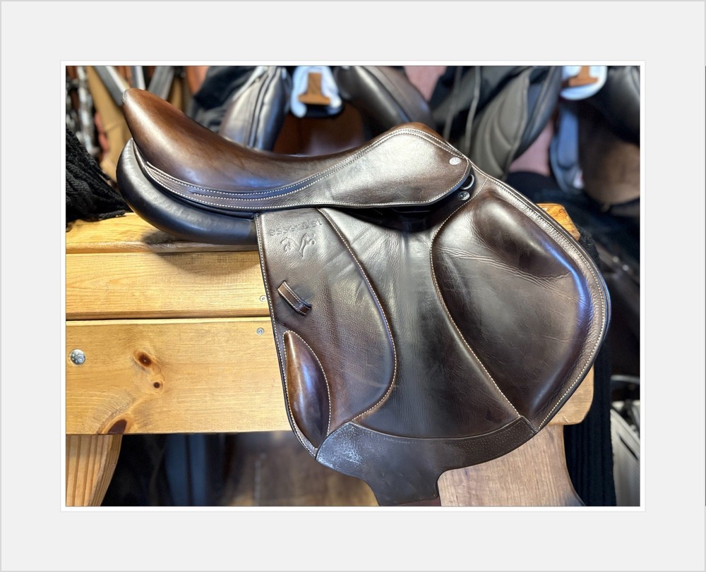 Voltaire Essential jump Saddle. 17.5” Interchangeable